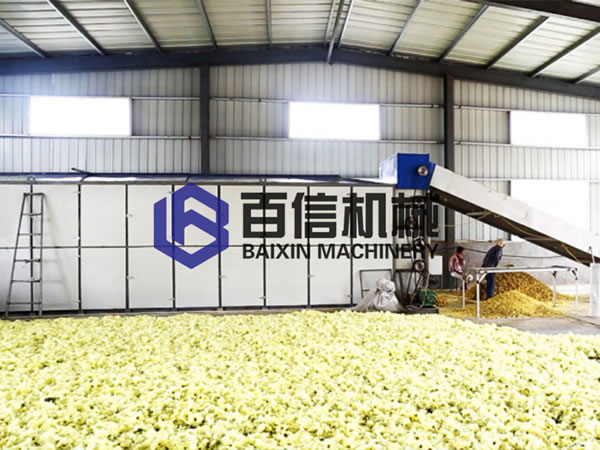 巴戟天原料加工：湖北黃蜀葵烘干機(jī)的實(shí)力展現(xiàn)